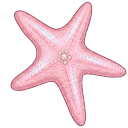 VSCO Girl Beach Starfish & Sea Shell cursor on a light page