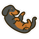 Funny Long Wiener Dog Playful pointer on a light page
