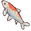 Japanese Koi Carp Animated cursor on a light page