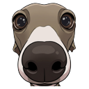 YouTuber Veshremy Meme pointer