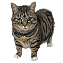 Oo-Ee-A-E-A Cat Meme Spinning and Standing pointer on a light page